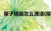 屋子墙面怎么清洁(屋子墙面怎么清洁灰尘)