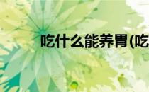 吃什么能养胃(吃什么能养胃粘膜)