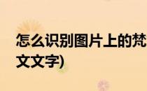 怎么识别图片上的梵文(怎么识别图片上的梵文文字)