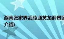 湖南张家界武陵源黄龙洞景区旅游攻略(张家界武陵源黄龙洞介绍)