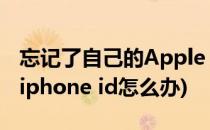 忘记了自己的Apple ID怎么办(忘记了自己的iphone id怎么办)
