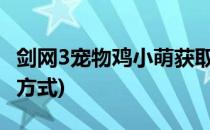 剑网3宠物鸡小萌获取方式(剑网三鸡小萌获取方式)