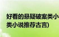 好看的悬疑破案类小说推荐(好看的悬疑破案类小说推荐古言)