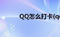 QQ怎么打卡(qq怎么打卡签到)
