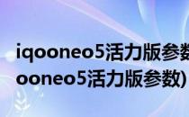 iqooneo5活力版参数是什么(iqooneo5和iqooneo5活力版参数)