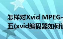怎样对Xvid MPEG-4 编码器进行参数设置 五(xvid编码器如何设置)
