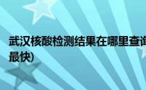 武汉核酸检测结果在哪里查询(武汉核酸检测结果在哪里查询最快)