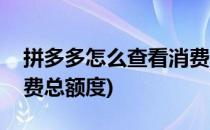 拼多多怎么查看消费总额(拼多多怎么查看消费总额度)
