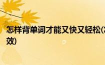 怎样背单词才能又快又轻松(怎样背单词才能又快又轻松又有效)