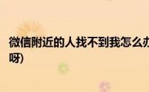 微信附近的人找不到我怎么办(微信附近的人找不到我怎么办呀)