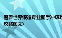 魔兽世界锻造专业新手冲级攻略(魔兽世界锻造专业新手冲级攻略图文)