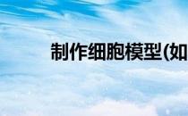 制作细胞模型(如何制作细胞模型)