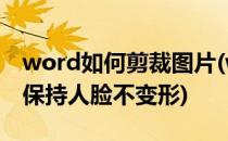 word如何剪裁图片(word如何剪裁图片才能保持人脸不变形)