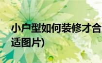 小户型如何装修才合适(小户型如何装修才合适图片)