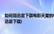 如何用迅雷下载电影天堂的电影(电影天堂的电影怎么下载 迅雷下载)