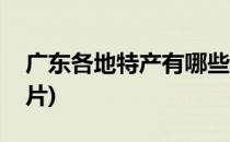 广东各地特产有哪些(广东各地特产有哪些图片)