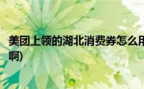 美团上领的湖北消费券怎么用(美团上领的湖北消费券怎么用啊)
