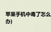 苹果手机中毒了怎么办(苹果手机中毒了怎么办)