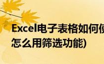 Excel电子表格如何使用筛选功能(excel表格怎么用筛选功能)