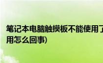 笔记本电脑触摸板不能使用了怎么办(笔记本电脑触摸板不能用怎么回事)