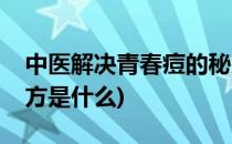 中医解决青春痘的秘方(中医解决青春痘的秘方是什么)