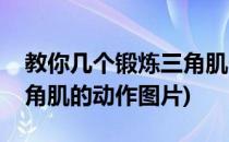 教你几个锻炼三角肌的动作(教你几个锻炼三角肌的动作图片)