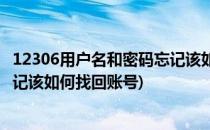 12306用户名和密码忘记该如何找回(12306用户名和密码忘记该如何找回账号)