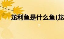 龙利鱼是什么鱼(龙利鱼是什么鱼图片)