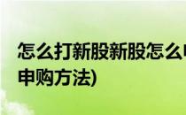 怎么打新股新股怎么申购(股票如何打新 新股申购方法)