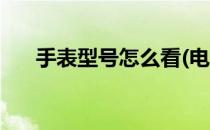 手表型号怎么看(电话手表型号怎么看)