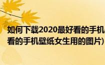 如何下载2020最好看的手机壁纸女生用(如何下载2020最好看的手机壁纸女生用的图片)