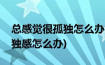 总感觉很孤独怎么办如何排除孤独感(总有孤独感怎么办)