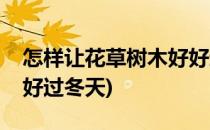 怎样让花草树木好好过冬(怎样让花草树木好好过冬天)