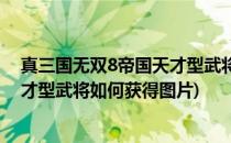 真三国无双8帝国天才型武将如何获得(真三国无双8帝国天才型武将如何获得图片)
