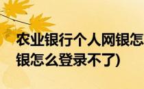 农业银行个人网银怎么登录(农业银行个人网银怎么登录不了)