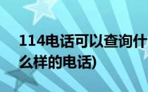 114电话可以查询什么(114电话可以查询什么样的电话)