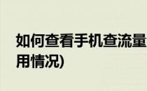 如何查看手机查流量(如何查看手机查流量使用情况)
