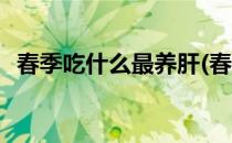 春季吃什么最养肝(春季吃什么最养肝最好)