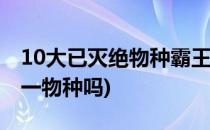 10大已灭绝物种霸王龙、斑驴(斑马和驴是同一物种吗)