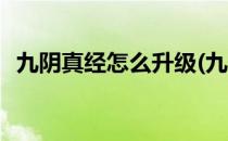 九阴真经怎么升级(九阴真经怎么升级装备)