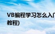 VB编程学习怎么入门(vb编程从入门到精通教程)