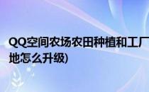 QQ空间农场农田种植和工厂翻倍的方法(手机qq空间农场土地怎么升级)