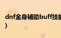 dnf金身辅助buff技能攻略(dnf金身刷图加点)