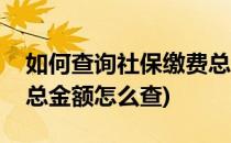 如何查询社保缴费总金额及明细(社保卡缴费总金额怎么查)