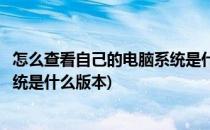 怎么查看自己的电脑系统是什么版本(怎样查看自己的电脑系统是什么版本)