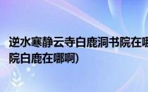 逆水寒静云寺白鹿洞书院在哪怎么去该地图(逆水寒白鹿洞书院白鹿在哪啊)