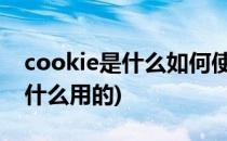 cookie是什么如何使用cookie(cookie是做什么用的)