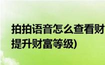 拍拍语音怎么查看财富排行榜(拍拍语音怎么提升财富等级)