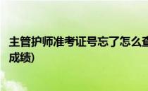 主管护师准考证号忘了怎么查成绩(护师忘记准考证号怎么查成绩)