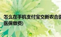 怎么在手机支付宝交新农合医保(怎么在手机支付宝交新农合医保缴费)